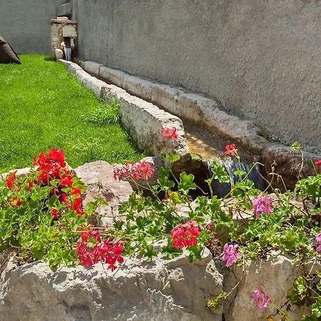Il Frantoio A Monte-Vicino Al Lago Malcesine Exterior foto